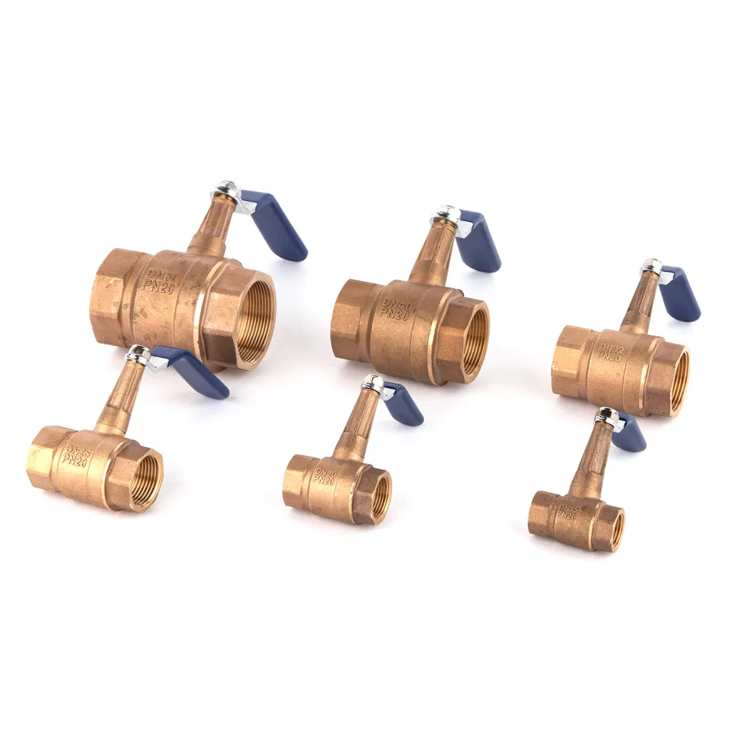 OEM/ODM 600 2000 Wog Control Check Swing Globe Stainless Steel Brass Ball PVC Knife Valve Price Bronze Valve Stop Gate Valve Factory Supplier Wholesale