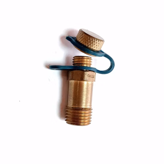 Low Lead Brass Compliant Pressure Test Plug