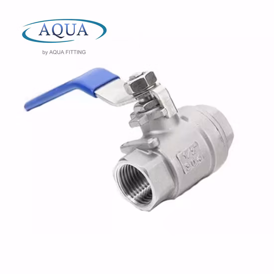 Maniglia in acciaio inossidabile SS304 316 con valvola a sfera con filettatura interna bloccabile BSPP BSPT NPT 2PC